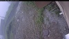 Web Cam Image - Fri, 07/03/2026 8:39am PDT