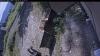 Web Cam Image - Mon, 08/31/2026 11:24am PDT