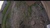 Web Cam Image - Tue, 07/01/2025 2:14pm PDT