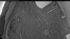 Web Cam Image - Mon, 05/18/2026 3:44am PDT