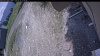 Web Cam Image - Wed, 05/20/2026 12:14pm PDT