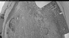 Web Cam Image - Wed, 06/17/2026 8:09pm PDT