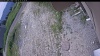 Web Cam Image - Thu, 06/25/2026 9:49am PDT