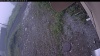 Web Cam Image - Fri, 07/03/2026 8:34am PDT