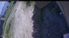 Web Cam Image - Mon, 07/06/2026 12:45pm PDT