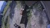 Web Cam Image - Mon, 08/31/2026 11:19am PDT