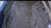 Web Cam Image - Mon, 05/11/2026 7:39am PDT