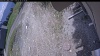 Web Cam Image - Wed, 05/20/2026 12:04pm PDT