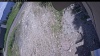 Web Cam Image - Sat, 06/13/2026 10:24am PDT