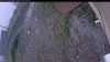 Web Cam Image - Fri, 07/03/2026 8:24am PDT