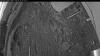 Web Cam Image - Sun, 05/31/2026 3:44am PDT