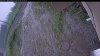 Web Cam Image - Fri, 06/26/2026 11:24am PDT