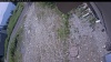 Web Cam Image - Sun, 07/05/2026 10:19am PDT