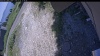 Web Cam Image - Mon, 07/06/2026 12:29pm PDT