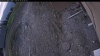 Web Cam Image - Sun, 05/10/2026 5:49am PDT