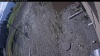 Web Cam Image - Mon, 05/11/2026 7:24am PDT