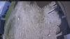 Web Cam Image - Wed, 05/20/2026 11:54am PDT