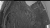Web Cam Image - Sun, 05/31/2026 3:39am PDT