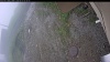 Web Cam Image - Sun, 06/07/2026 5:19am PDT