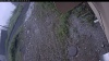 Web Cam Image - Fri, 07/03/2026 8:14am PDT