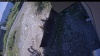 Web Cam Image - Mon, 08/03/2026 1:14pm PDT