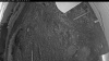 Web Cam Image - Sun, 05/31/2026 3:34am PDT