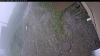 Web Cam Image - Sun, 06/07/2026 5:14am PDT