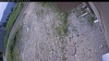 Web Cam Image - Thu, 06/25/2026 9:24am PDT