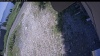 Web Cam Image - Mon, 07/06/2026 12:19pm PDT