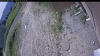 Web Cam Image - Thu, 06/25/2026 9:19am PDT