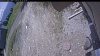 Web Cam Image - Wed, 05/20/2026 11:39am PDT