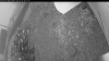 Web Cam Image - Mon, 10/20/2025 2:19pm PDT