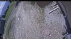 Web Cam Image - Wed, 05/20/2026 11:29am PDT