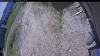 Web Cam Image - Sat, 06/13/2026 9:49am PDT