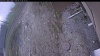 Web Cam Image - Mon, 05/11/2026 6:54am PDT