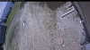 Web Cam Image - Wed, 05/20/2026 11:24am PDT