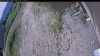 Web Cam Image - Thu, 06/25/2026 8:59am PDT