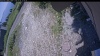 Web Cam Image - Mon, 07/06/2026 11:54am PDT