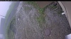 Web Cam Image - Sun, 06/07/2026 4:44am PDT