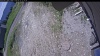 Web Cam Image - Sat, 06/13/2026 9:39am PDT
