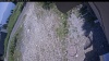 Web Cam Image - Mon, 07/06/2026 11:49am PDT