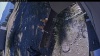 Web Cam Image - Wed, 10/07/2026 11:34am PDT