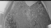 Web Cam Image - Mon, 10/20/2025 2:04pm PDT