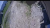 Web Cam Image - Sun, 06/14/2026 11:24am PDT