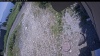 Web Cam Image - Mon, 07/06/2026 11:44am PDT