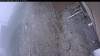 Web Cam Image - Mon, 05/11/2026 6:39am PDT