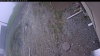 Web Cam Image - Tue, 05/19/2026 9:29am PDT