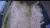 Web Cam Image - Mon, 07/06/2026 11:39am PDT