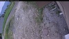 Web Cam Image - Mon, 06/15/2026 3:09pm PDT