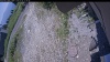 Web Cam Image - Mon, 07/06/2026 11:34am PDT